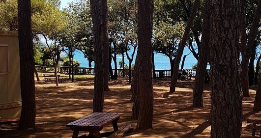 Vivere Pineta Marradi