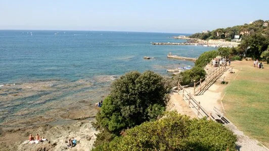 Vista mare Pineta Marradi
